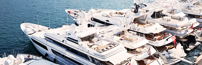 Tropical Ocean Marine: Contact Us