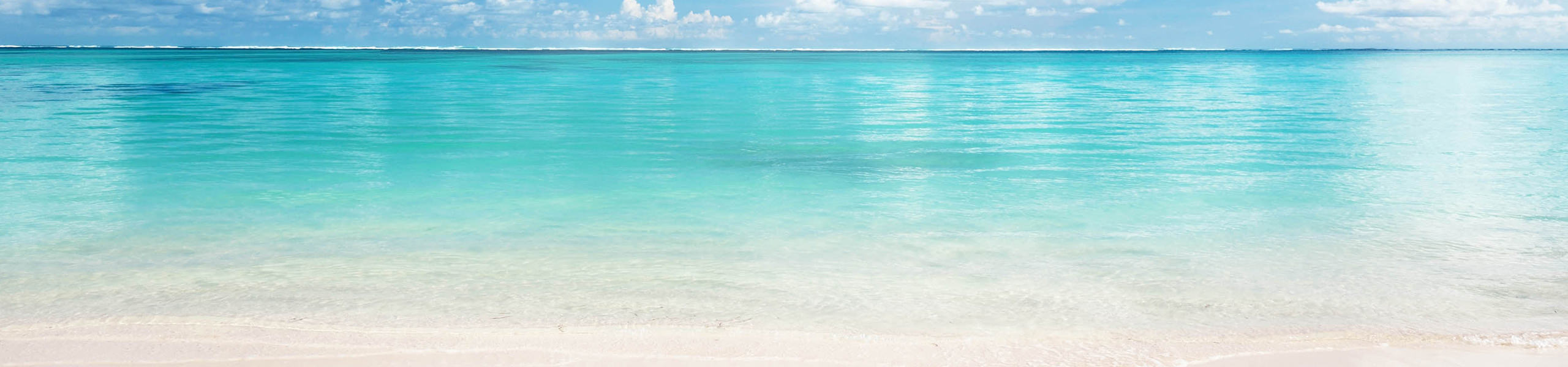 Tropical Ocean Marine: Privacy Policy