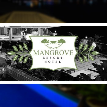 Logo Concept Design and Layout
