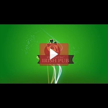 Sample Promotional Video Advertisement