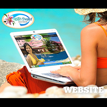 Web Design & Development