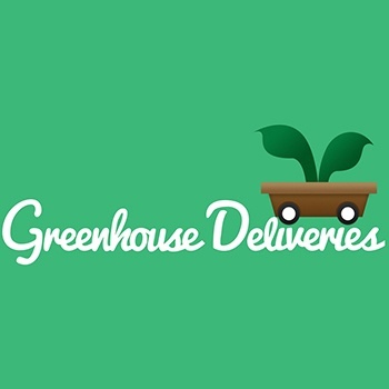 Logo Concept Design and Layout